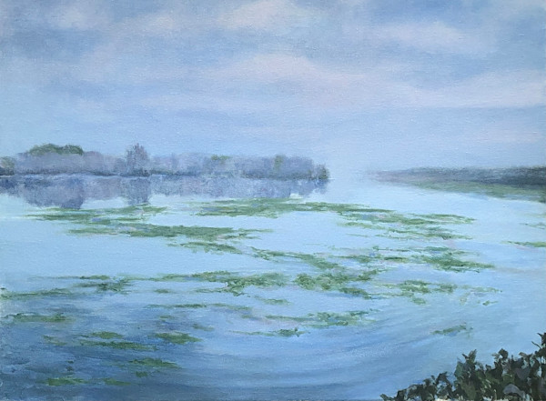 Duckweed at Dawn by Doug Nehrbass