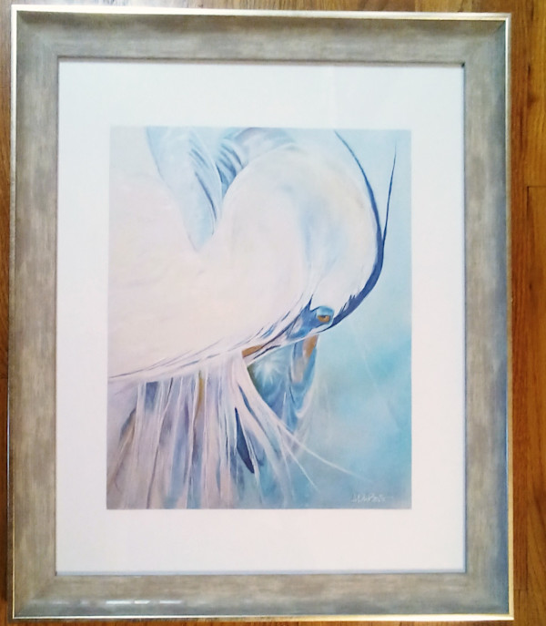 Heron Preening ( Framed Print) by Ann DuBois, Image 1.