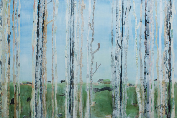 Birches by Heidi Matherne
