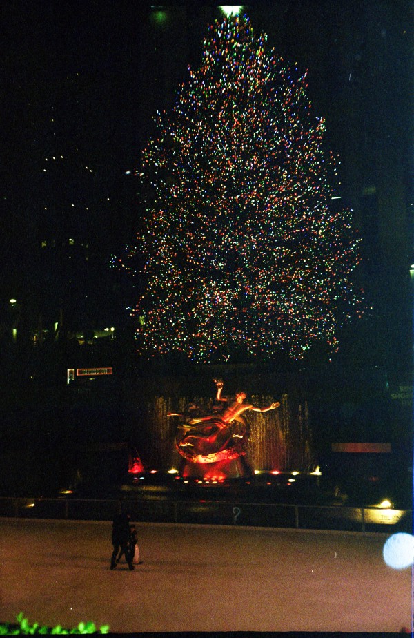 New York Christmas Tree by Annabeth Mejia