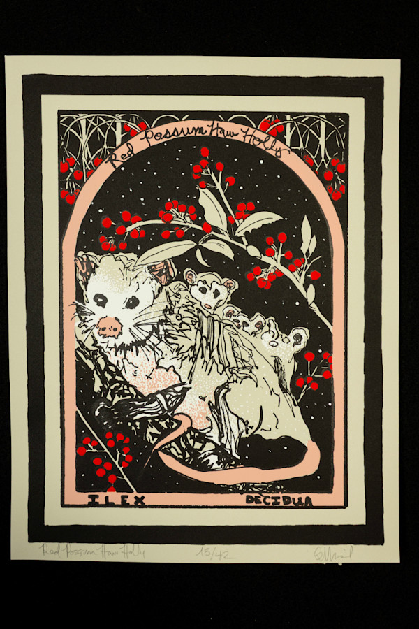 Red Possum Haw Holly by Susan David, Image 1.