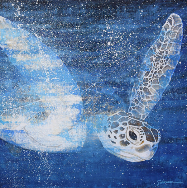 Green Sea Turtle, Number 6 by Julie Siracusa