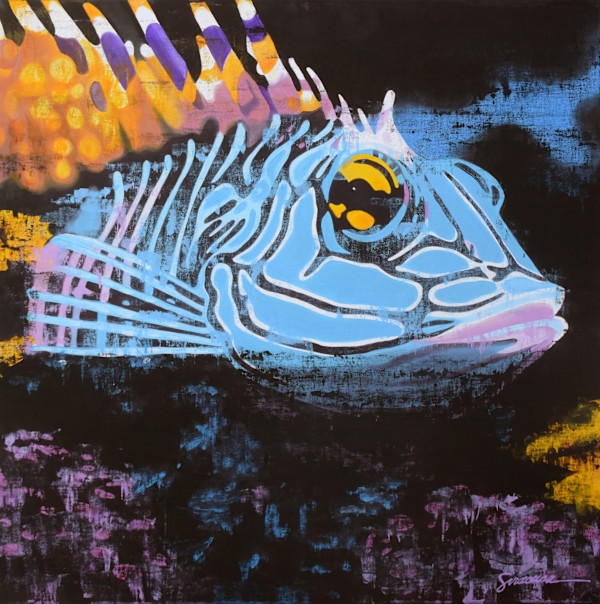 Harlequin Fish, Number 3 by Julie Siracusa