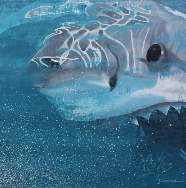 Mako Shark, Number 2 by Julie Siracusa