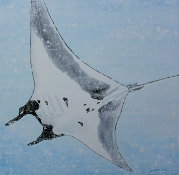 Manta Ray, Number 2 by Julie Siracusa