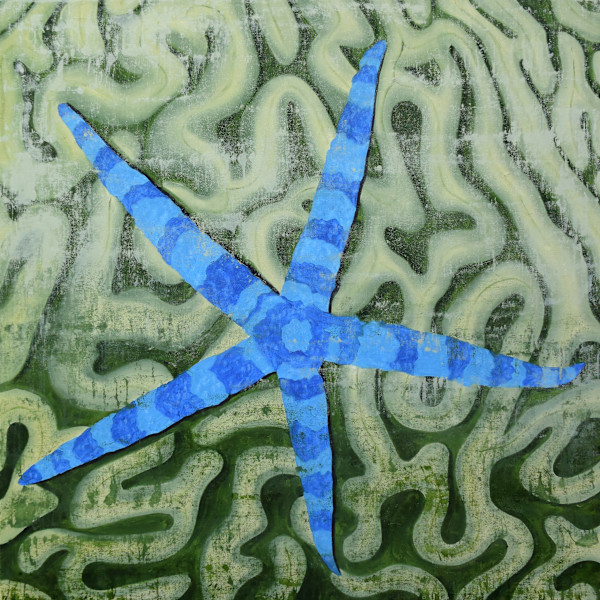Starfish and Brain Coral, Number 1 by Julie Siracusa