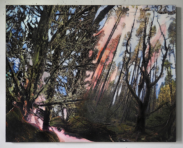 The Pink Event by Lynda Frese, Image 1.