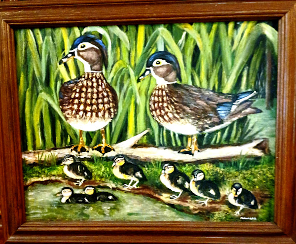 Female Woodducks and Ducklings by Myra Winters, Image 1.