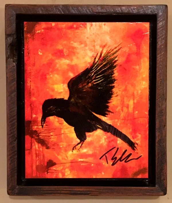 Raven by Toby Elder