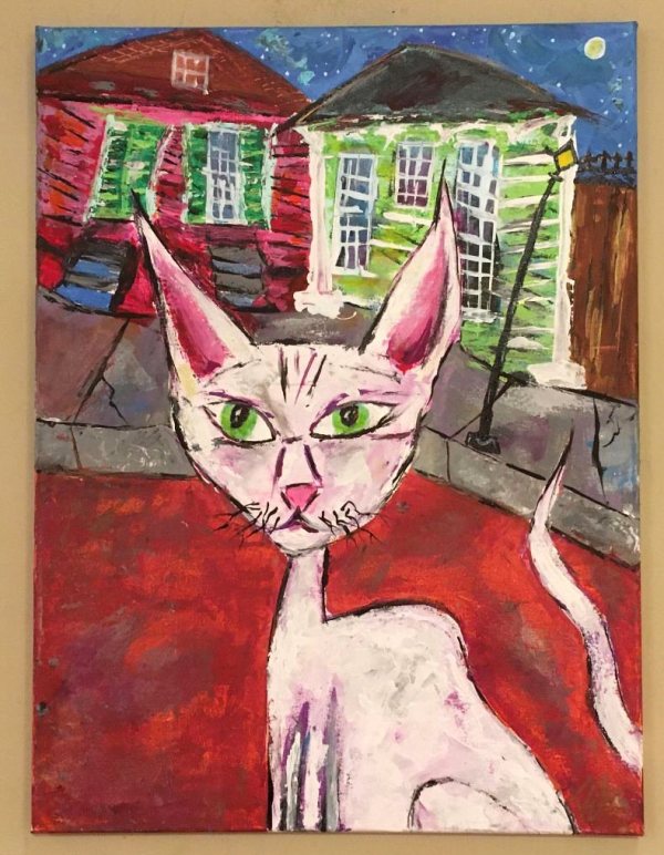 Stray Cat by Toby Elder