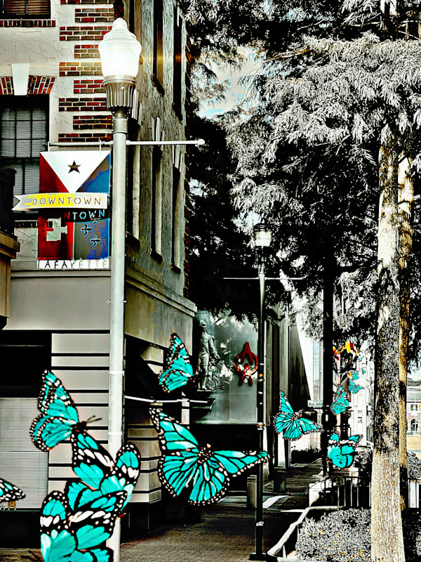 Butterfly Parade by Kelly Nelson
