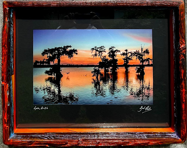 Heron Landing #1 by Bach Prados, Image 1.