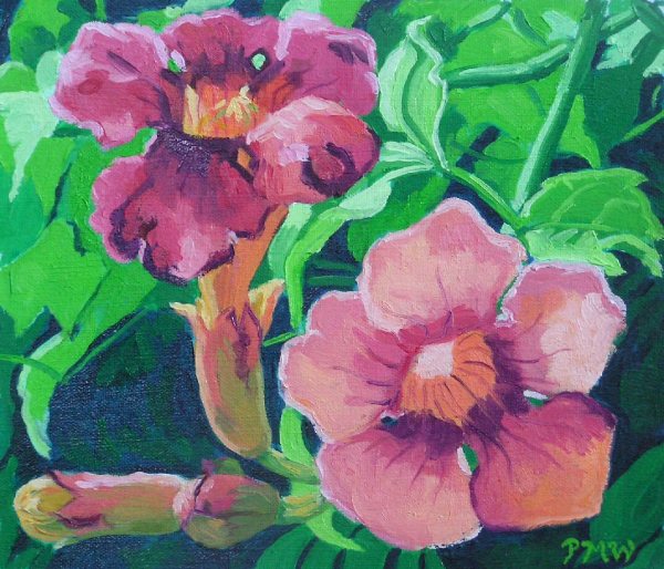 Trumpet Vine by Peggy Walters