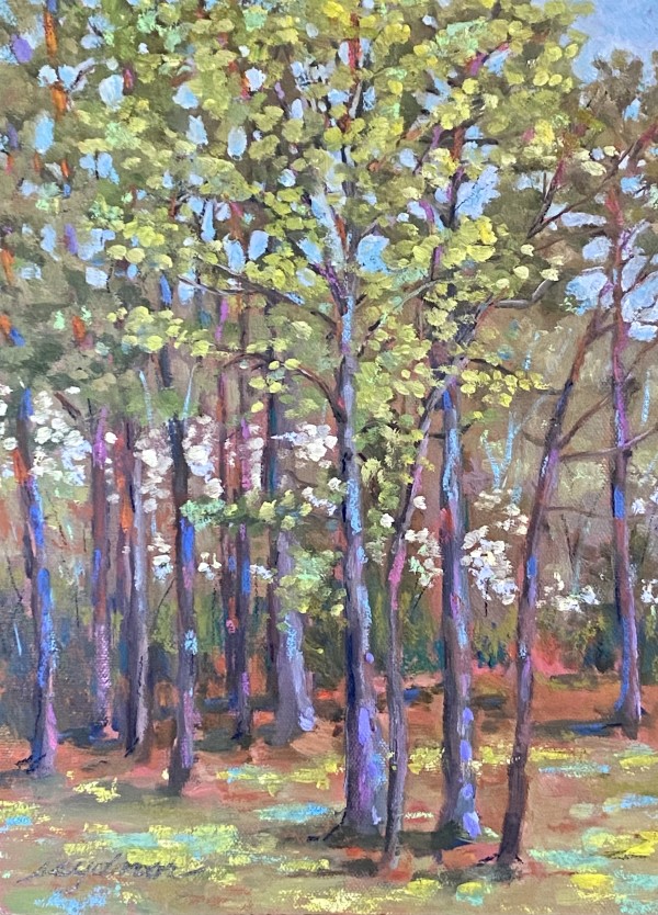 Trees in the Park, Spring by Sallie Sydnor