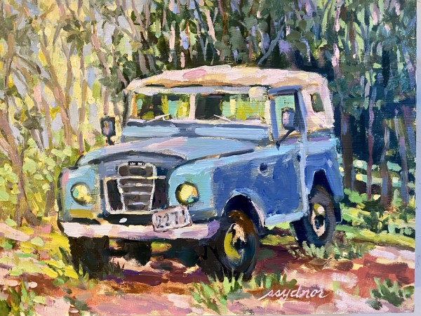 Rover in the Wild III by Sallie Sydnor