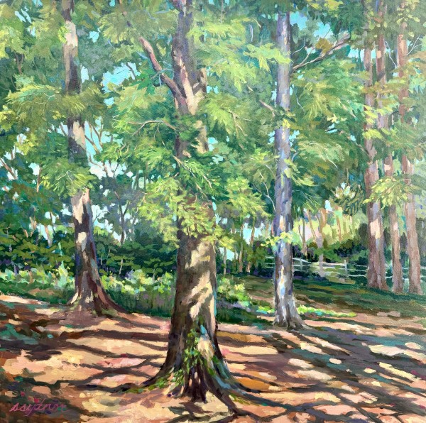 Looking Up in May II by Sallie Sydnor