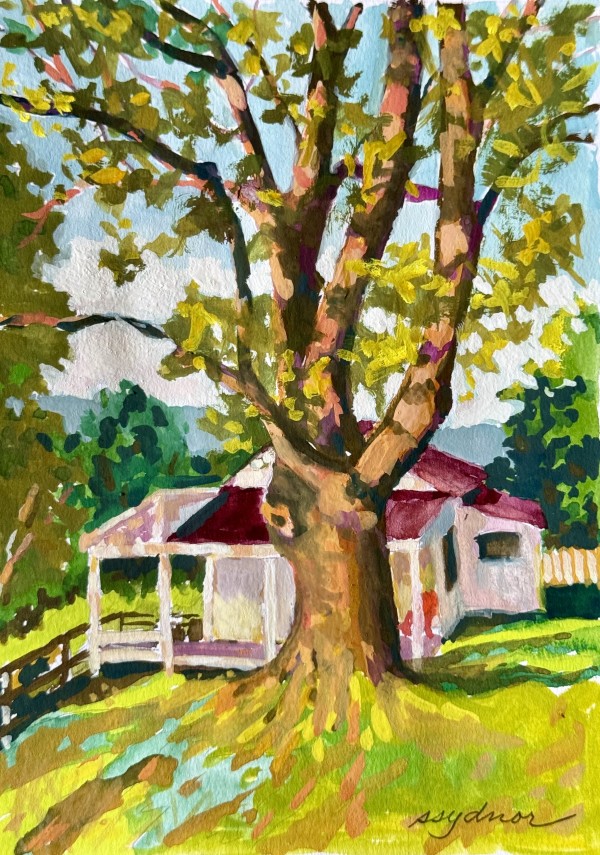 Oak Aglow at Sunset by Sallie Sydnor