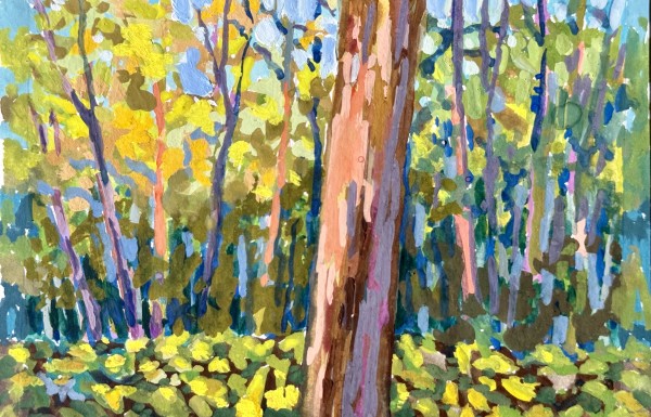 Shimmering Forest by Sallie Sydnor