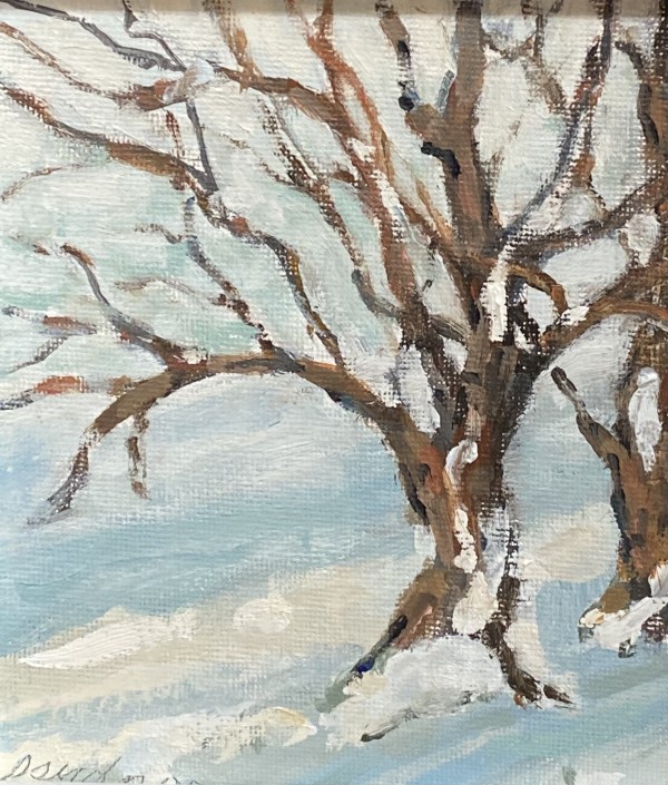 Little Tree in Winter by Sallie Sydnor