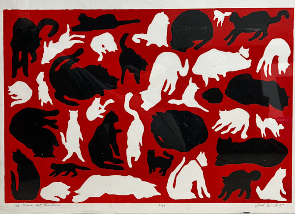 36 Basic Cat Positions 6/40 by Jack McLarty