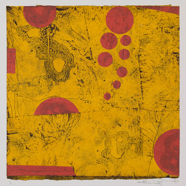 Plane View 1 by Elise Wagner Fine Art, LLC, Image 1.