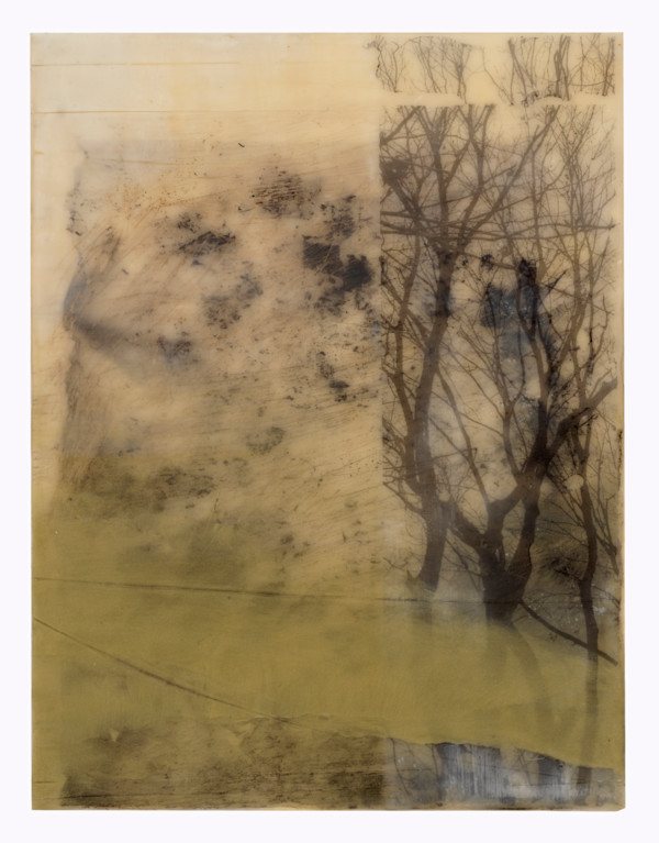 Here Not Here by Jane Michalski
