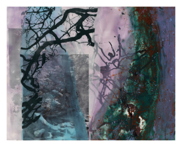 Tangled Trees II by Jane Michalski