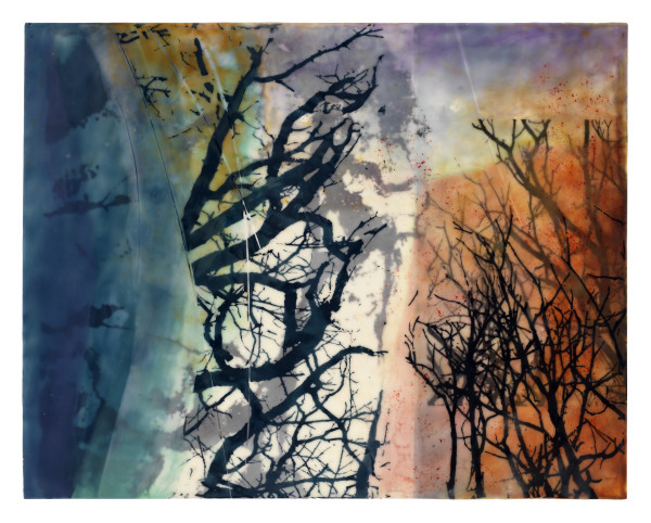 Tangled Trees by Jane Michalski