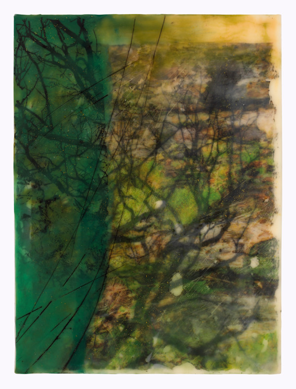 Through the Woods II by Jane Michalski