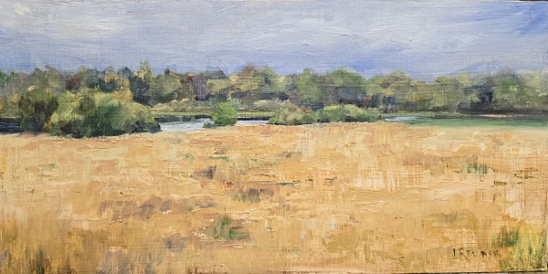 The Quiet River by Lynette Redner