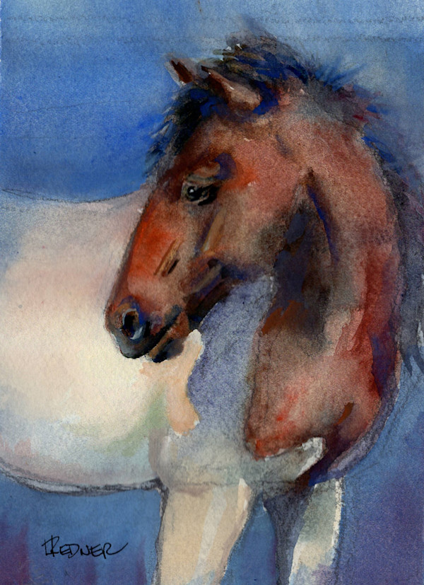 Island Pony by Lynette Redner