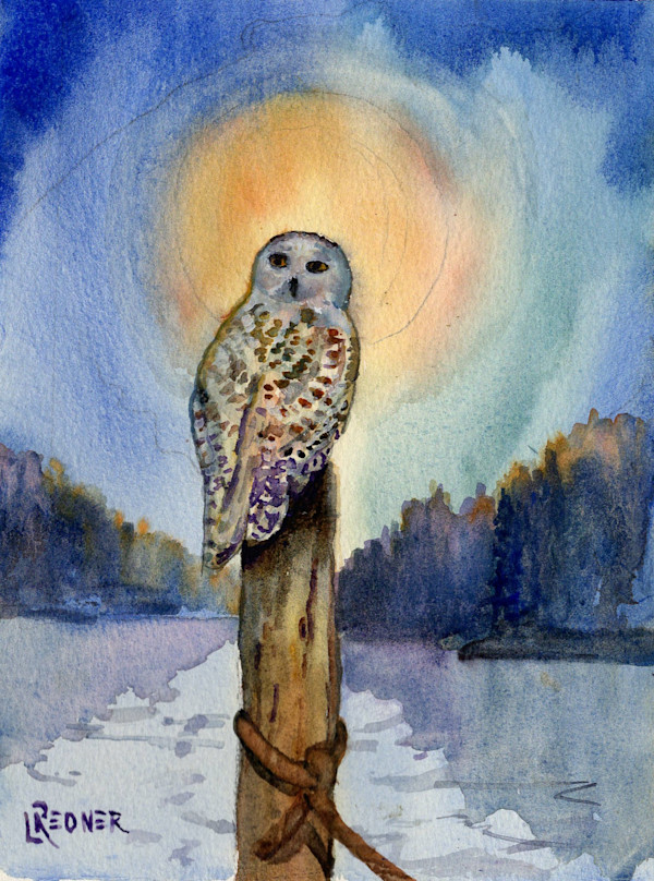 Moonlit Owl/Snowy Owl by Lynette Redner