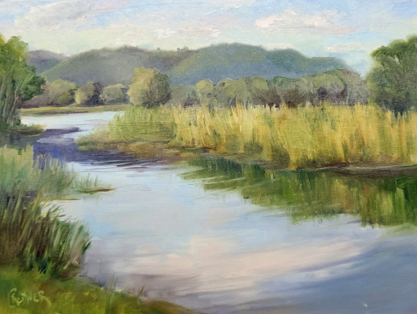 Bluffs of the Mississippi River by Lynette Redner