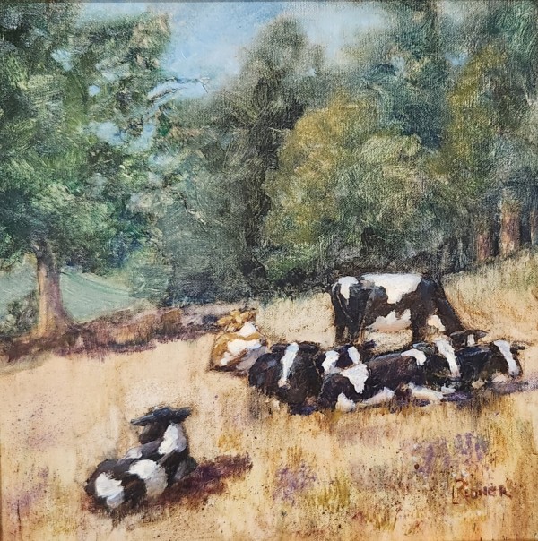 Cattle in the Oak Tree Meadow by Lynette Redner