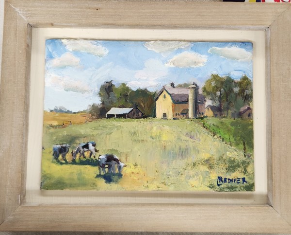 Cows on the Lima Center Farm by Lynette Redner