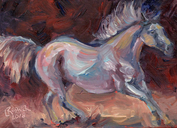 Horse of Many Colors by Lynette Redner