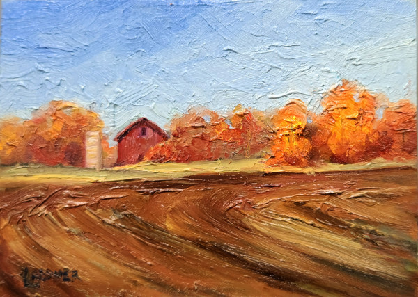 Fall Tilled Fields by Lynette Redner