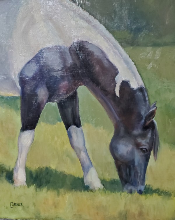 Paint Horse Grazing by Lynette Redner