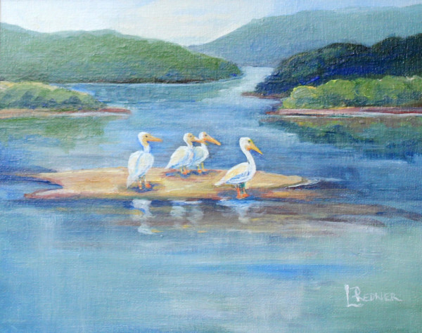 Studies of Pelicans on the River by Lynette Redner