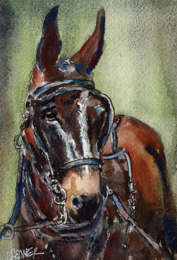 Parade of Horses:; The Mule by Lynette Redner
