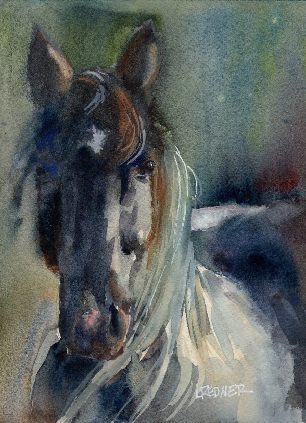 Parade of Horses:The Paint by Lynette Redner