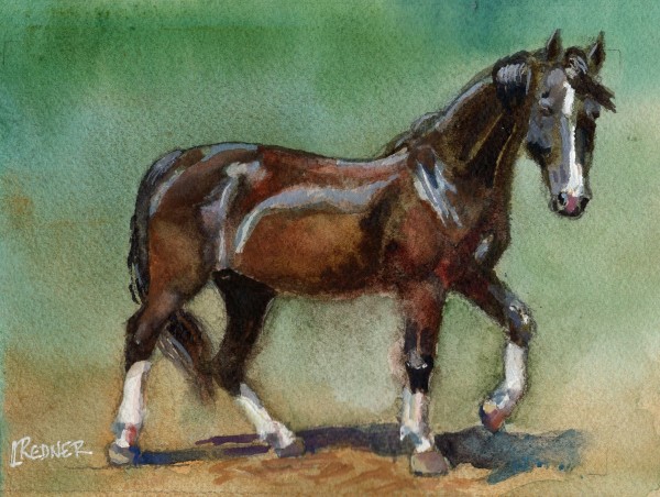 Parade of Horses : Saddlebred by Lynette Redner
