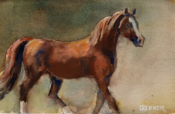 Parade of Horses: The Arabian by Lynette Redner
