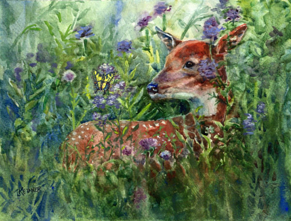 Spring Fawn and Butterfly by Lynette Redner