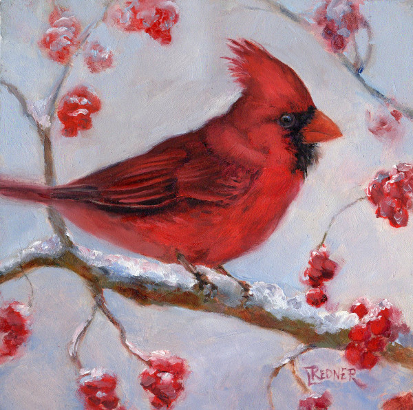 Winter Cardinal Amongst the Berries