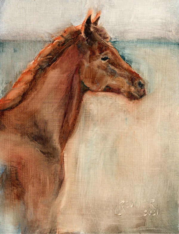 The Foal by Lynette Redner