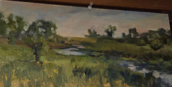Creek on Willis Road. Whitewater by Lynette Redner