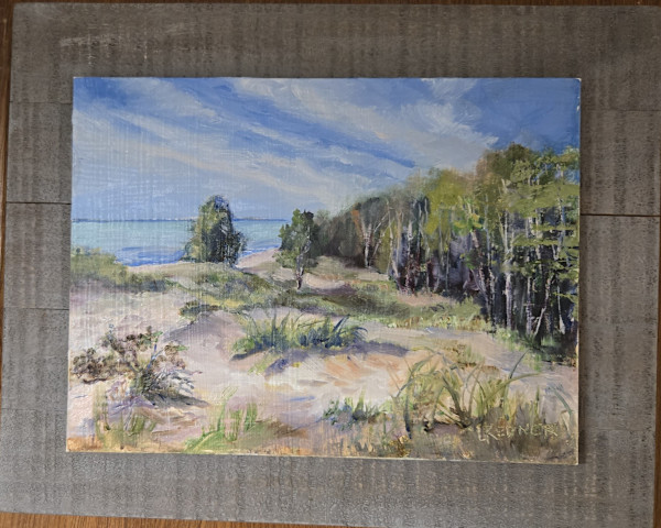 Sand Dunes at Kohler State Park by Lynette Redner, Image 1.