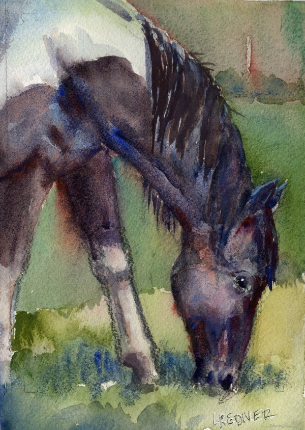 Parade of Horses: Paint Grazing by Lynette Redner