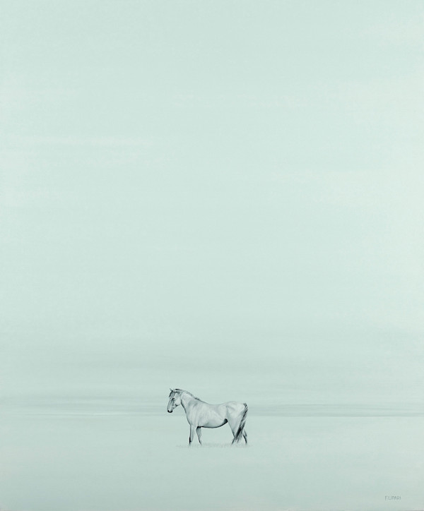 Wild Horse by F. Lipari